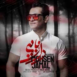 Mohsen Jamal – Delrobaei